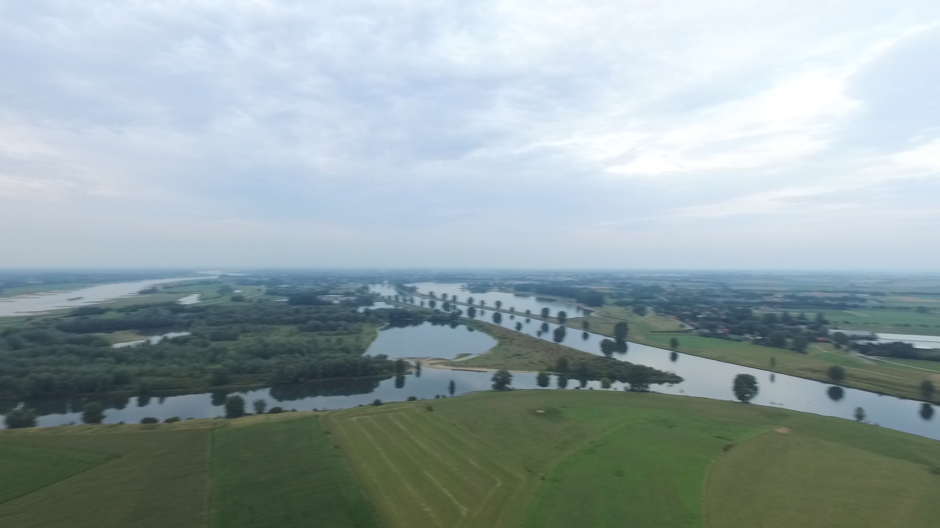 Vie animale Hoogwater bij Alem, februari 2016
